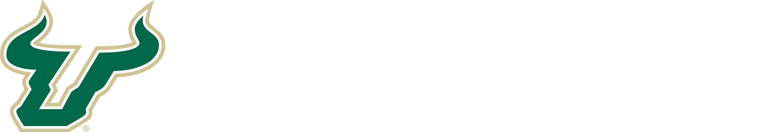 University of South Florida